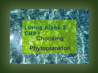 Loving Alpha 3 CMP ! Choosing Phytoplankton Can't Improve on Nature! 