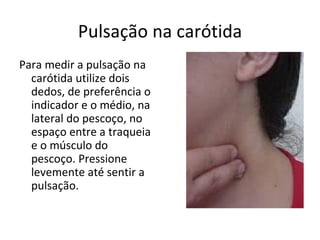 Pulsação na carótida Para medir a pulsação na carótida utilize dois dedos, de preferência o indicador e o médio, na lateral do pescoço, no espaço entre a traqueia e o músculo do pescoço. Pressione levemente até sentir a pulsação.  