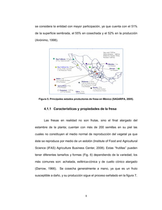 se considera la entidad con mayor participación, ya que cuenta con el 51%

de la superficie sembrada, el 55% en cosechada y el 52% en la producción

(Anónimo, 1998).




  Figura 5. Principales estados productores de fresa en México (SAGARPA, 2005).



      4.1.1 Características y propiedades de la fresa


      Las fresas en realidad no son frutas, sino el final alargado del

estambre de la planta; cuentan con más de 200 semillas en su piel las

cuales no constituyen el medio normal de reproducción del vegetal ya que

éste se reproduce por medio de un estolón (Institute of Food and Agricultural

Science (IFAS) Agriculture Business Center, 2008). Estas “frutillas” pueden

tener diferentes tamaños y formas (Fig. 6) dependiendo de la variedad, los

más comunes son: achatada, esférica-cónica y de cuello cónico alargado

(Darrow, 1966).    Se cosecha generalmente a mano, ya que es un fruto

susceptible a daño, y su producción sigue el proceso señalado en la figura 7.




                                       8
 