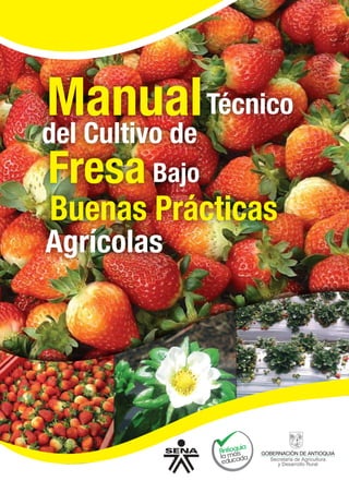 Manual
del Cultivo de
Técnico
Fresa
Buenas Prácticas
Agrícolas
Bajo
 