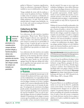 galón) al Matran 2 aumenta signiﬁcativa-           das de control. Si es que se van a usar con-
                        mente su cobertura y desempeño. Matran 2           troladores biológicos, éstos deben liberarse
                        también se usa en combinación con vinagre.         antes de que las plagas alcancen niveles críti-
                                                                           cos. Por eso el monitoreo es tan importante.
                        Tenga cuidado de rociar sólo las malezas y         En grandes operaciones, donde regular-
                        evitar rociar las plantas de fresas. También
                                                                           mente se usan cuadrillas de cosecha, se reco-
                        se debe evitar el contacto o inhalación, ya
                                                                           mienda entrenar a los jefes de cuadrilla en
                        que el alto contenido de ácido puede quemar
                                                                           la identiﬁcación de plagas y enfermedades,
                        tejido pulmonar y la piel. Para más infor-
                                                                           lo que puede ser muy útil en el proceso de
                        mación sobre el vinagre como herbicida, vis-
                                                                           monitoreo.
                        ite el sitio web www.ars.usda.gov/Services/
                        docs.htm?docid=9666.                               Habitats de insectos benéﬁcos plantados a los
                                                                           costados de los campos de fresa proveen refu-
                        Cobertura de Tela                                  gio y fuentes de polen y néctar a los depre-
                        Sintética Tejida                                   dadores y parásitos de insectos plaga. Tam-
                                                                           bién les dan refugio cuando los campos son
                        Las coberturas de tela sintética (nombres          tratados con pesticidas. Cuando se compran


H
           abitats de   comerciales: Weed Lock, Weed Barrier,              y liberan insectos benéﬁcos, estos hábitats
                        Weed Stopper) ofrecen una supresión de             alientan a los insectos benéﬁcos a perman-
           insectos
                        malezas similar a los cobertores de plástico,      ecer y continuar sus ciclos de vida, ayudando
           benéﬁcos     pero tienen la ventaja de ser permeables al
plantados a los
                                                                           a reducir las poblaciones de plagas. Algu-
                        agua y al aire. A pesar de que su costo ini-       nas plagas pueden habitar en esos hábitats
costados de los         cial es más alto que los plásticos regulares, su
                                                                           junto con insectos benéﬁcos, por lo tanto, es
campos de fresa         alta calidad hace que puedan ser usados año
                                                                           importante monitorearlos a menudo.
proveen refugio, y      tras año.
fuentes de polen y      Los cobertores de tela sintética son usados        Para más información solicite las publicaciones de
néctar a los            esencialmente de la misma manera que los           ATTRA Biointensive Integrated Pest Management y
depredadores y          plásticos en los sistemas descritos anterior-      Farmscaping to Enhance Biological Control.
                        mente. Sin embargo, debido a que son per-
parásitos de insectos
                        meables al agua, puede no ser necesario            A pesar de que los problemas de plagas varían
plaga, también les      agregar líneas de riego por debajo del cober-      con la ubicación, plagas comunes en fresas
dan refugio cuando      tor en aquellas áreas que poseen una canti-        incluyen: oruga blanca, gorgojos de fresa,
los campos son          dad de lluvia adecuada.                            gusano de la raíz de la fresa, chinche lygus
tratados con                                                               y ácaros o arañitas. Para información más
pesticidas.             Control de Insectos                                detallada sobre estas plagas, diríjase a la lista
                                                                           de publicaciones en la sección de Recursos
                        y Ácaros                                           Impresos más abajo (especialmente las pub-
                        Existen gran cantidad de insectos que se ali-      licaciones de Funt et al., 1997; Kovach et al.,
                        mentan de las plantas de fresas y que amena-       1990; Maas, 1987; y Strand, 1993).
                        zan los rendimientos. Los especialistas de los
                        Servicios de Extensión están familiarizados
                        con las plagas comunes en el área y pueden
                                                                           Gusano Blanco
                        ayudar en la correcta identiﬁcación de ellas,      El gusano blanco es un problema principal-
                        que es el primer paso en el manejo de pla-         mente en el este de los EE.UU., pudiendo
                        gas. Un programa de monitoreo de plagas            causar serios daños si las fresas se plantan
                        puede ayudar a los productores a determinar        inmediatamente después de un cultivo de
                        tanto la presión de plagas como la presencia       césped. Los gusanos blancos son las larvas
                        de insectos benéﬁcos. Una vez que la pre-          de los escarabajos de la familia Scarabaeidae.
                        sión de plagas alcanza el umbral económico         Arar el suelo a ﬁnes del verano o temprano
                        (donde el tratamiento de la plaga es menos         en el otoño destruye muchas larvas, pupas y
                        costoso que las pérdidas que se incurren por       adultos en el suelo y también los expone a los
                        no tratarla), se hace necesario tomar medi-        depredadores.
Página 10      ATTRA                                                                         Fresas: Producción Orgánica
 