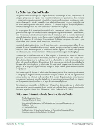 La Solarización del Suelo
            Imagínese dominar la energía del sol para destruir a sus enemigos. Como Arquímedes – el
            antiguo griego que usó espejos para concentrar la luz solar y quemar una ﬂota romana
            – los agricultores pueden destruir o inhabilitar insectos, enfermedades, nemátodos y male-
            zas en el campo. La técnica conocida como solarización consiste en poner una cobertura
            de plástico transparente sobre suelo húmedo. El calor es atrapado debajo del plástico,
            elevando la temperatura del suelo y matando o debilitando las plagas.
            La mayor parte de la investigación mundial se ha concentrado en áreas cálidas y áridas,
            pero cualquier lugar con veranos calientes tiene potencial para este sistema. Generalmente,
            este proceso de pasteurización del suelo toma 4-6 semanas, pero la cantidad de tiempo
            depende de muchos factores como: lluvia, viento, longitud del día, textura del suelo y cali-
            dad de la cobertura de polietileno. Se recomienda el plástico con protección contra rayos
            ultravioleta, así el cobertor puede ser retirado y reutilizado.
            Antes de la solarización, ciertos tipos de materia orgánica como composta y residuos de cul-
            tivos de Brassicas (como brócoli y mostaza) pueden ser agregados al suelo para el proceso
            conocido como “bio-fumigación”. Cuando esta materia orgánica se calienta en el proceso
            de solarización, ésta libera compuestos volátiles que son tóxicos para muchas plagas.
            Antes de que ocurra la solarización se debe preparar la tierra que será sembrada o trans-
            plantada. Las camas deben estar formadas, la cinta de goteo instalada y los campos nive-
            lados. Esto evita revolver el suelo después de la solarización, lo cual movería organismos
            plaga a la superﬁcie del suelo. Dependiendo de la temperatura exterior, la intensidad de la
            luz solar y los tipos de plagas, la solarización del suelo puede proporcionar buen control de
            plagas a 8-10 pulgadas de profundidad, aunque el mejor control generalmente se obtiene
            a 6 pulgadas.
            Precaución especial: durante la solarización, la cinta de goteo se debe enterrar por lo menos
            a una pulgada de profundidad para evitar daños por los rayos del sol. En experimentos
            donde la cinta fue colocada en la superﬁcie de la cama y después cubierta con el plástico
            transparente, la cinta de goteo fue dañada por la luz solar que fue magniﬁcada por las goti-
            tas de agua que se condensaban en la superﬁcie exterior del plástico.
            Investigaciones conducidas en California y Oregon han demostrado que la solarización
            tiene potencial como componente de un manejo integrado de plagas para enfermedades de
            la raíz en la producción de fresa (Hartz et al., 1993; Pinkerton et al., 2002).

            Sitios en el Internet sobre la Solarización del Suelo
                •   The Soil Solarization Home
                    http://agri3.huji.ac.il/~katan
                •   International Workgroup on Soil Solarization and Integrated Management of
                    Soil-borne Pests
                    www.uckac.edu/iwgss
                •   Soil Solarization: A Nonchemical Method for Controlling Diseases and Pests
                    http://ucce.ucdavis.edu/ﬁles/ﬁlelibrary/40/942.pdf




Página 16     ATTRA                                                                        Fresas: Producción Orgánica
 