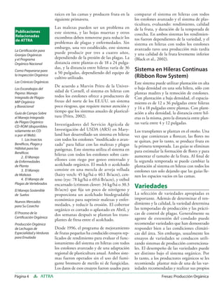 raíces en las camas y producen fruta en la      comparar el sistema en hileras con todos
                          siguiente primavera.                            los estolones avanzado y el sistema de plas-
                                                                          ticultura, evaluando: rendimiento, calidad
                          Las malezas pueden ser un problema en           de la fruta, y duración de la temporada de
Publicaciones             este sistema, y las hojas muertas y otros
Relacionadas                                                              cosecha. En ambos sistemas los rendimien-
                          escombros deben removerse para reducir los      tos fueron dependientes de la variedad, y el
de ATTRA
                          problemas de plagas y enfermedades. Sin         sistema en hileras con todos los estolones
                          embargo, una vez establecido, este sistema      avanzado tuvo una producción más tardía
La Certiﬁcación para
                          puede producir por tres a cuatro años,          y una calidad de la fruta levemente inferior
Granjas Orgánicas
y el Programa             dependiendo de la presión de las plagas. La     (Black et al., 2002).
Orgánico Nacional         distancia entre plantas es de 18 a 24 pulga-
                          das, y la distancia entre hileras varía de 36   Sistema en Hileras Continuas
Como Prepararse para
                          a 50 pulgadas, dependiendo del equipo de
la Inspección Orgánica
                          cultivo utilizado.                              (Ribbon Row System)
Las Crónicas Orgánicas                                                    Este sistema puede utilizar plantación en alta
                          De acuerdo a Marvin Pritts de la Univer-        o baja densidad en una sola hilera, sólo con
Los Escarabajos del
Pepino: Manejo
                          sidad de Cornell, el sistema en hileras con     plantas madres y la remoción de estolones.
Integrado de Plagas-      todos los estolones ofrece a productores de     Con plantación a baja densidad, el espacia-
MIP Orgánico              fresas del norte de los EE.UU. un sistema       miento es de 12 a 36 pulgadas entre hileras
y Bioracional             poco riesgoso, que requiere menor atención y    y 14 a 18 pulgadas entre plantas. Con plant-
Guía de Campo Sobre
                          tiempo que los sistemas anuales de plasticul-   ación a alta densidad, la distancia entre hil-
el Manejo Integrado       tura (Pritts, 2002).                            eras es la misma, pero la distancia entre plan-
de Plagas Orgánico                                                        tas varía entre 4 y 12 pulgadas.
CD-ROM (disponibles
                          Investigadores del Servicio Agrícola de
solamente en CD           Investigación del USDA (ARS) en Mary-           Los transplantes se plantan en el otoño. Una
o por el Web):            land han desarrollado un sistema en hileras     vez que comienzan a ﬂorecer, las ﬂores no
    1. Los Insectos       con todos los estolones “modiﬁcado o avan-      se quitan, por lo tanto, se produce fruta en
Benéﬁcos, Plagas y        zado” para lidiar con las malezas y plagas      la primera temporada. Las guías se eliminan
Hábitat para los          patógenas. Este sistema utiliza el sistema en
Benéﬁcos                                                                  para estimular la formación de ﬂores y para
                          hileras con todos los estolones sobre cam-      aumentar el tamaño de la fruta. Al ﬁnal de
    2. El Manejo
de Enfermedades
                          ellones con riego por goteo enterrado y         la segunda temporada se puede cambiar la
de Planta                 acolchado orgánico. El mulch o acolchado        plantación al sistema en hileras con todos los
    3. El Manejo          consiste en una mezcla de arveja velluda        estolones tan solo dejando que las guías lle-
de Malezas                (hairy vetch: 45 kg/há o 40.1 lb/acre), cen-    nen los espacios vacíos en las camas.
    4. El Manejo de       teno (rye: 78 kg/há o 69.6 lb/acre), y trébol
Plagas de Vertebrados     encarnado (crimson clover: 34 kg/há o 30.3
                          lb/acre) que ﬁja un poco de nitrógeno y
                                                                          Variedades
El Manejo Sostenible
de Suelos                 proporciona un acolchado biodegradable          La selección de variedades apropiadas es
                          económico para suprimir malezas y enfer-        importante. Además de determinar el ren-
Nuevos Mercados                                                           dimiento y la calidad, la variedad determina
para Su Cosecha           medades, y reducir la erosión. El cobertor
                          orgánico es cortado o aplastado en Abril, y     las temporadas de producción y las prácti-
El Proceso de la
                          dos semanas después se plantan los trans-       cas de control de plagas. Generalmente su
Certiﬁcación Orgánica                                                     agente de extensión del condado puede
                          plantes de fresa entre el acolchado.
Producción Orgánica                                                       recomendar variedades que han demostrado
de Lechugas de            Desde 1996, el programa de mejoramiento         responder bien a las condiciones climáti-
Especialidad y Verduras   de frutas pequeñas ha conducido ensayos rep-    cas del área. Sin embargo, usualmente los
para Ensalada             licados de rendimiento para evaluar el func-    ensayos de variedades se conducen utili-
                          ionamiento del sistema en hileras con todos     zando sistemas de producción convenciona-
                          los estolones avanzado y de una adaptación      les. El desempeño de las variedades puede
                          regional de plasticultura anual. Ambos siste-   ser distinto bajo el sistema orgánico. Por
                          mas fueron operados sin el uso del fumi-        lo tanto, a los productores orgánicos se les
                          gante bromuro de metilo ni de fungicidas.       recomienda plantar más de una de las var-
                          Los datos de esos ensayos fueron usados para    iedades recomendadas y realizar sus propios
Página 4          ATTRA                                                                    Fresas: Producción Orgánica
 