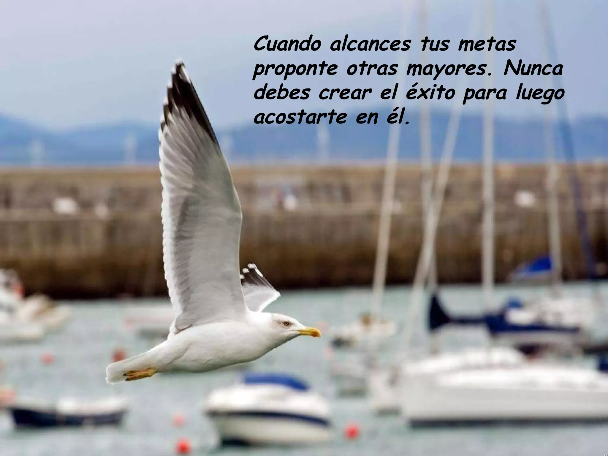 Cuando alcances tus metas proponte otras mayores. Nunca debes crear el éxito para luego acostarte en él.   