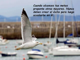 Cuando alcances tus metas
proponte otras mayores. Nunca
debes crear el éxito para luego
acostarte en él.

 