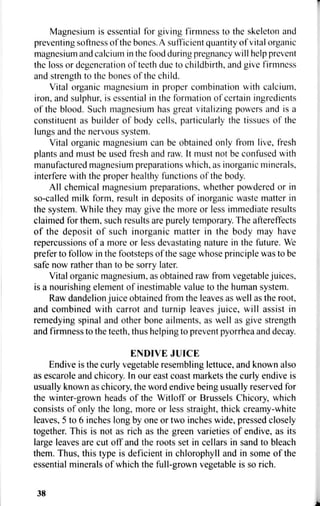 Magnesium is essential for giving firmness to the skeleton and
preventing softness of the bones. A sufficient quantity of vital organic
magnesium and calcium in the food during pregnancy will help prevent
the loss or degeneration of teeth due to childbirth, and give firmness
and strength to the bones of the child.
Vital organic magnesium in proper combination with calcium,
iron, and sulphur, is essential in the formation of certain ingredients
of the blood. Such magnesium has great vitalizing powers and is a
constituent as builder of body cells, particularly the tissues of the
lungs and the nervous system.
Vital organic magnesium can be obtained only from live, fresh
plants and must be used fresh and raw. It must not be confused with
manufactured magnesium preparations which, as inorganic minerals,
interfere with the proper healthy functions of the body.
All chemical magnesium preparations, whether powdered or in
so-called milk form, result in deposits of inorganic waste matter in
the system. While they may give the more or less immediate results
claimed for them, such results are purely temporary. The aftereffects
of the deposit of such inorganic matter in the body may have
repercussions of a more or less devastating nature in the future. We
prefer to follow in the footsteps of the sage whose principle was to be
safe now rather than to be sorry later.
Vital organic magnesium, as obtained raw from vegetable juices,
is a nourishing element of inestimable value to the human system.
Raw dandelion juice obtained from the leaves as well as the root,
and combined with carrot and turnip leaves juice, will assist in
remedying spinal and other bone ailments, as well as give strength
and firmness to the teeth, thus helping to prevent pyorrhea and decay.
ENDIVE JUICE
Endive is the curly vegetable resembling lettuce, and known also
as escarole and chicory. In our east coast markets the curly endive is
usually known as chicory, the word endive being usually reserved for
the winter-grown heads of the Witloff or Brussels Chicory, which
consists of only the long, more or less straight, thick creamy-white
leaves, 5 to 6 inches long by one or two inches wide, pressed closely
together. This is not as rich as the green varieties of endive, as its
large leaves are cut off and the roots set in cellars in sand to bleach
them. Thus, this type is deficient in chlorophyll and in some of the
essential minerals of which the full-grown vegetable is so rich.
38
 