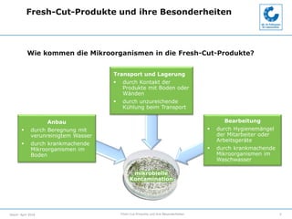Fresh-Cut-Produkte und ihre BesonderheitenStand: April 2018
Fresh-Cut-Produkte und ihre Besonderheiten
5
Wie kommen die Mi...