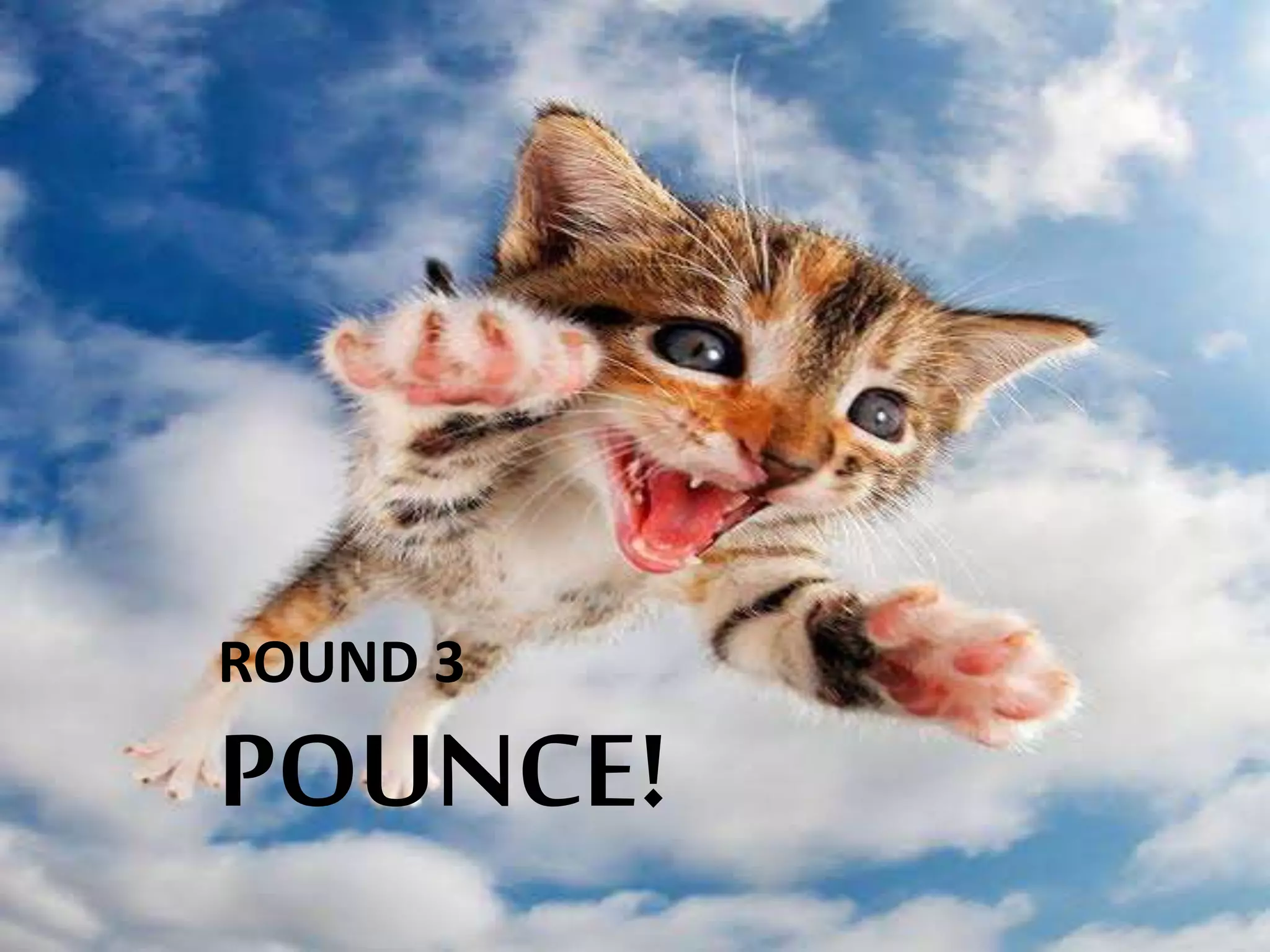 DIRECT POUNCE
ROUND 3
POUNCE!
 