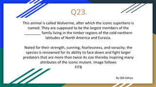 Q23.
This animal is called Wolverine, after which the iconic superhero is
named. They are supposed to be the largest members of the
________ family living in the timber regions of the cold northern
latitudes of North America and Eurasia.
Noted for their strength, cunning, fearlessness, and voracity; the
species is renowned for its ability to face down and fight larger
predators that are more than twice its size thereby inspiring many
attributes of the iconic mutant. Image follows
FITB
By QM Aditya
 