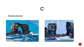 C
Charles Darwin
 