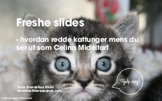 Freshe slides
- hvordan redde kattunger mens du
ser ut som Celina Midelfart

Hjelp meg!
Tuva Sverdstad Eikås
tuva@netliferesearch.com
Foto: alasam / ﬂickr.com

 
