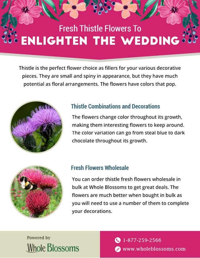 Get Fresh Wholesale Flowers For Wedding Decor