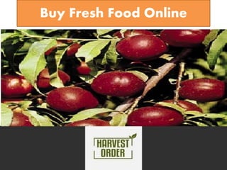 Buy Fresh Food Online
 