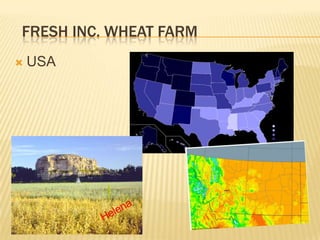 FRESH INC. WHEAT FARM
   USA
 