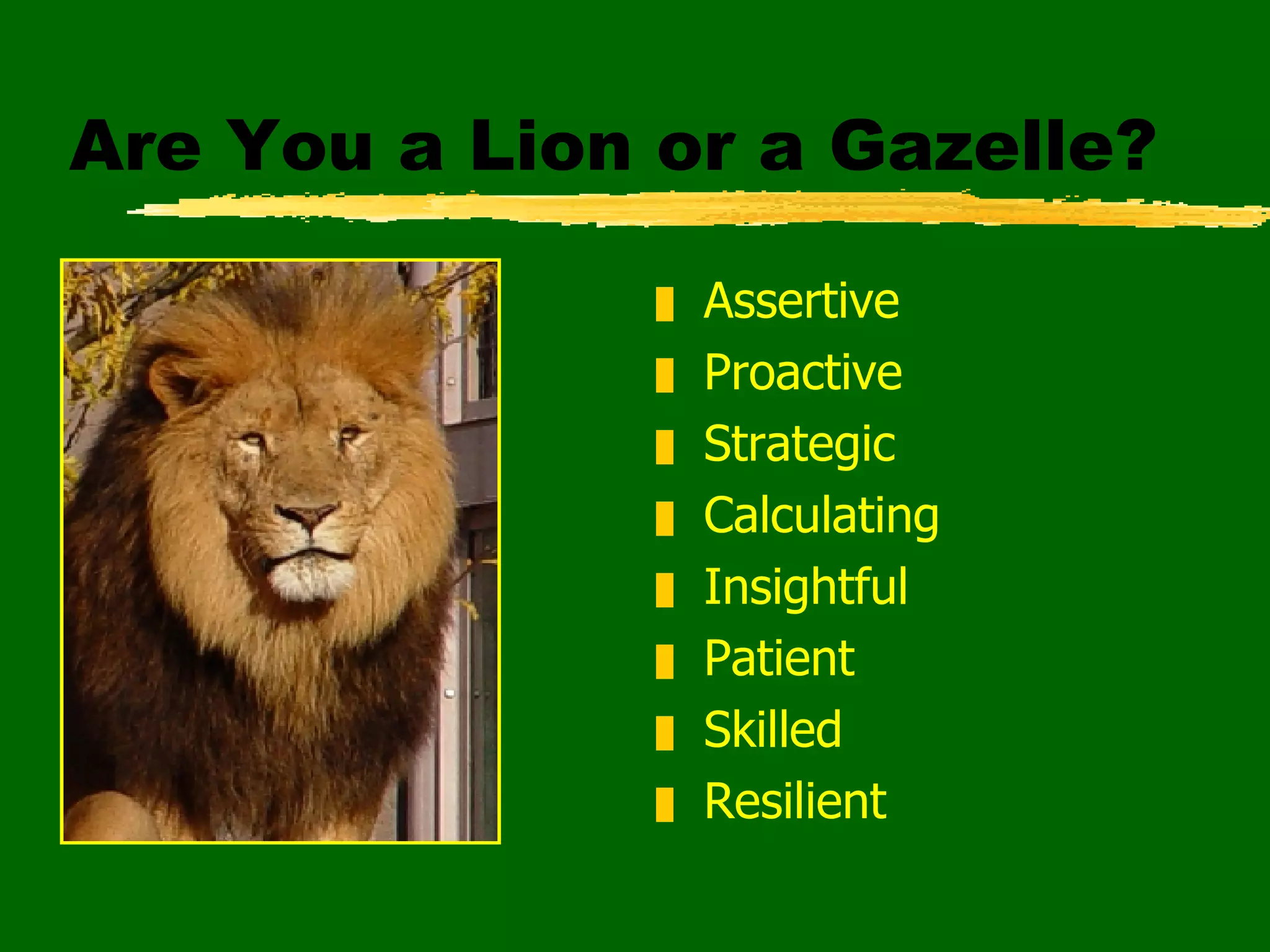 Are You a Lion or a Gazelle? Assertive Proactive Strategic Calculating Insightful Patient Skilled Resilient 