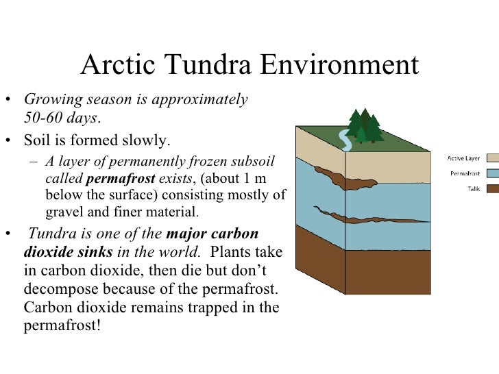 Freshman biome presentation rev
