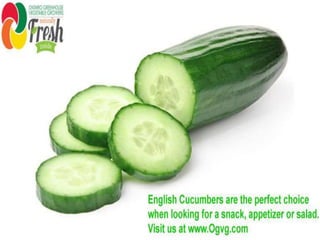 Fresh Ontario Cucumbers