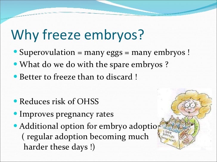 Fresh or frozen embryos which are better