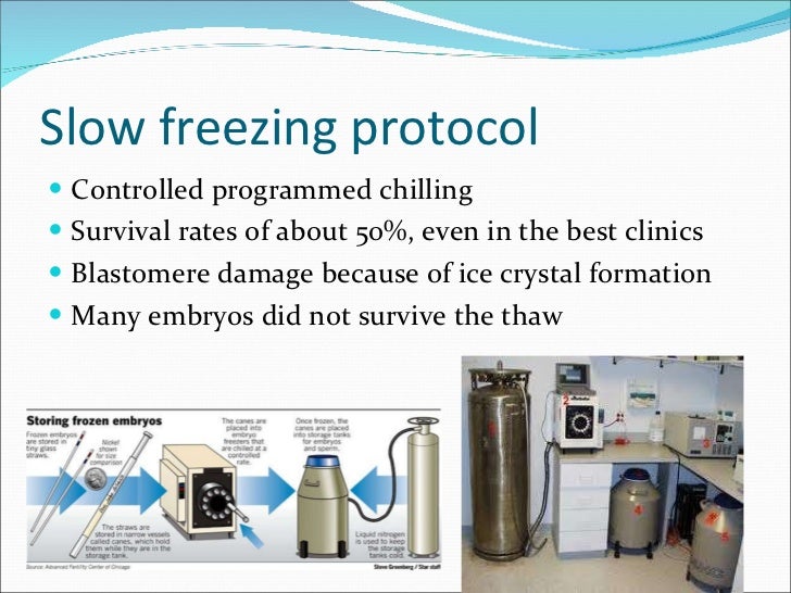 Fresh or frozen embryos which are better