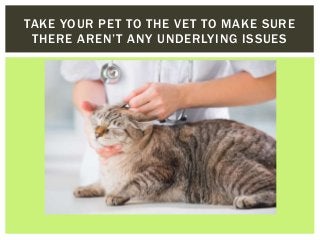 TAKE YOUR PET TO THE VET TO MAKE SURE
THERE AREN’T ANY UNDERLYING ISSUES
 