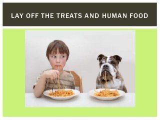 LAY OFF THE TREATS AND HUMAN FOOD
 