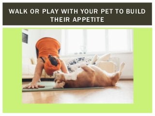 WALK OR PLAY WITH YOUR PET TO BUILD
THEIR APPETITE
 