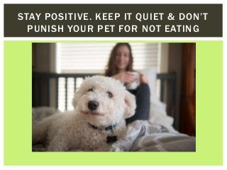 STAY POSITIVE. KEEP IT QUIET & DON’T
PUNISH YOUR PET FOR NOT EATING
 