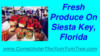 Fresh
Produce On
Siesta Key,
Florida
www.ComeUnderTheYumYumTree.com
 