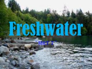 Freshwater
   ~MRT 7~
 