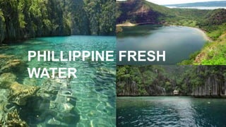 PHILLIPPINE FRESH
WATER
 