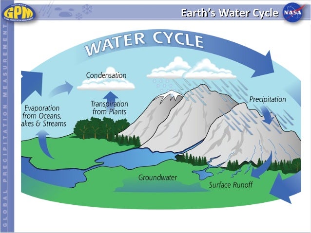 Water a precious resource essay