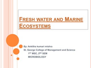 FRESH WATER AND MARINE
ECOSYSTEMS
By: Ankitha kumari mishra
St. George College of Management and Science
1ST MSC, 2ND SEM
MICROBIOLOGY
 