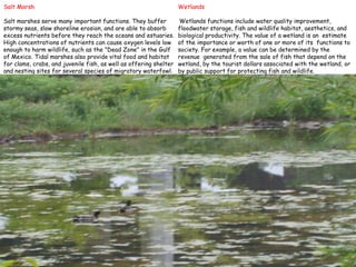 Salt MarshSalt marshes serve many important functions. They buffer stormy seas, slow shoreline erosion, and are able to absorb excess nutrients before they reach the oceans and estuaries. High concentrations of nutrients can cause oxygen levels low enough to harm wildlife, such as the "Dead Zone" in the Gulf of Mexico. Tidal marshes also provide vital food and habitat for clams, crabs, and juvenile fish, as well as offering shelter and nesting sites for several species of migratory waterfowl.Wetlands Wetlandsfunctions include water quality improvement, floodwater storage, fish and wildlife habitat, aesthetics, and biological productivity. The value of a wetland is an estimate of the importance or worth of one or more of its functions to society. For example, a value can be determined by the revenue generated from the sale of fish that depend onthe wetland, by the tourist dollars associatedwith the wetland, or by public support forprotecting fish and wildlife.