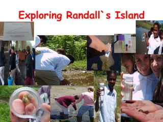 Exploring Randall`s Island