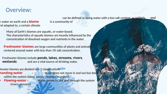 Freshwater Biome Types, Characteristics and Factors | PPTX
