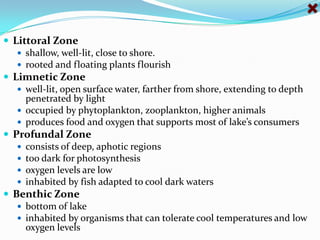 Aphotic ZoneDISTANCE FROM THE SHORE AND WATER DEPTH Littoral Zone