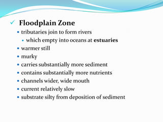 Transition Zonecontains wider, lower elevation streamsstreams join to form tributarieswarmerless clearcarries more sedimentcontains more nutrientschannels usually widercurrent is slowersubstrate begins to accumulate silt