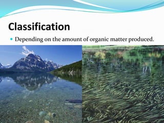 Classification Depending on the amount of organic matter produced.