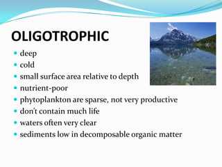 OLIGOTROPHICdeepcoldsmall surface area relative to depthnutrient-poorphytoplankton are sparse, not very productivedon’t contain much lifewaters often very clearsediments low in decomposable organic matter
