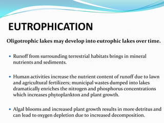EUTROPHICATIONOligotrophic lakes may develop into eutrophic lakes over time. Runoff from surrounding terrestrial habitats brings in mineral nutrients and sediments. Human activities increase the nutrient content of runoff due to lawn and agricultural fertilizers; municipal wastes dumped into lakes dramatically enriches the nitrogen and phosphorus concentrations which increases phytoplankton and plant growth. Algal blooms and increased plant growth results in more detritus and can lead to oxygen depletion due to increased decomposition.