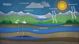 Freshwater Conservation Strategies for the Energy Industry