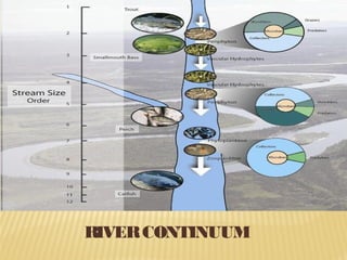 2. Pool – deeper water where velocity of current is reduced; site of
decomposition; major site of CO2 production during su...