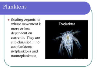 Planktons
 floating organisms
whose movement is
more or less
dependent on
currents. They are
sub classified it no
zooplanktons,
netplanktons and
nannoplanktons.
 