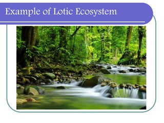 Example of Lotic Ecosystem
 