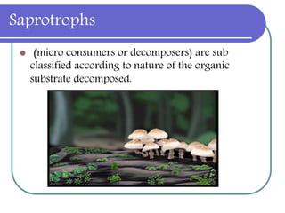 Saprotrophs
 (micro consumers or decomposers) are sub
classified according to nature of the organic
substrate decomposed.
 