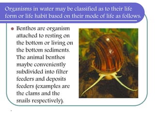 Organisms in water may be classified as to their life
form or life habit based on their mode of life as follows:
 Benthos are organism
attached to resting on
the bottom or living on
the bottom sediments.
The animal benthos
maybe conveniently
subdivided into filter
feeders and deposits
feeders (examples are
the clams and the
snails respectively).
.
 