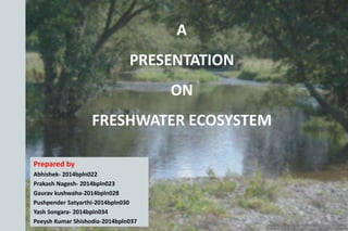 A
PRESENTATION
ON
FRESHWATER ECOSYSTEM
Prepared by
Abhishek- 2014bpln022
Prakash Nagesh- 2014bpln023
Gaurav kushwaha-2014bpln028
Pushpender Satyarthi-2014bpln030
Yash Songara- 2014bpln034
Peeysh Kumar Shishodia-2014bpln037
 