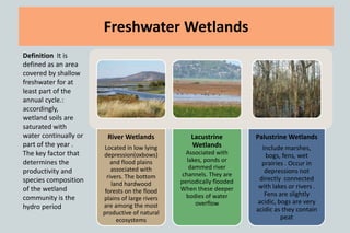 Freshwater Wetlands
Definition It is
defined as an area
covered by shallow
freshwater for at
least part of the
annual cycle.:
accordingly,
wetland soils are
saturated with
water continually or
part of the year .
The key factor that
determines the
productivity and
species composition
of the wetland
community is the
hydro period
River Wetlands
Located in low lying
depression(oxbows)
and flood plains
associated with
rivers. The bottom
land hardwood
forests on the flood
plains of large rivers
are among the most
productive of natural
ecosystems
Lacustrine
Wetlands
Associated with
lakes, ponds or
dammed river
channels. They are
periodically flooded
When these deeper
bodies of water
overflow
Palustrine Wetlands
Include marshes,
bogs, fens, wet
prairies . Occur in
depressions not
directly connected
with lakes or rivers .
Fens are slightly
acidic, bogs are very
acidic as they contain
peat
 