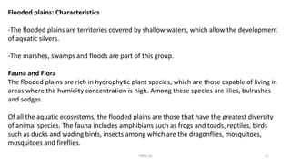 Flooded plains: Characteristics
-The flooded plains are territories covered by shallow waters, which allow the development
of aquatic silvers.
-The marshes, swamps and floods are part of this group.
Fauna and Flora
The flooded plains are rich in hydrophytic plant species, which are those capable of living in
areas where the humidity concentration is high. Among these species are lilies, bulrushes
and sedges.
Of all the aquatic ecosystems, the flooded plains are those that have the greatest diversity
of animal species. The fauna includes amphibians such as frogs and toads, reptiles, birds
such as ducks and wading birds, insects among which are the dragonflies, mosquitoes,
mosquitoes and fireflies.
KKR1116 11
 