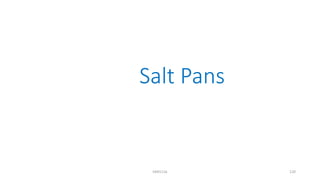 Salt Pans
KKR1116 120
 
